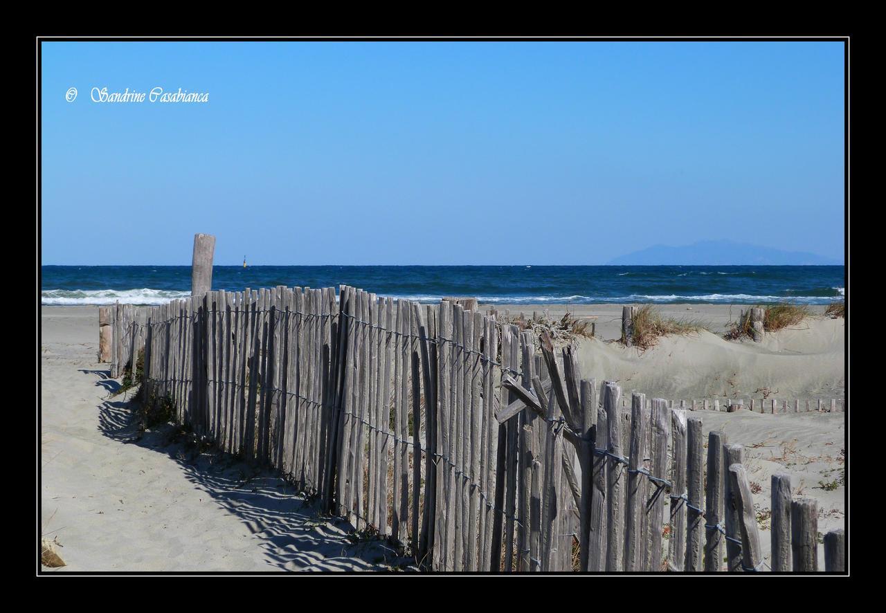 Chic Proche De La Bastia (Corsica)